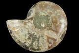 Bargain, Agatized Ammonite Fossil (Half) #111510-1